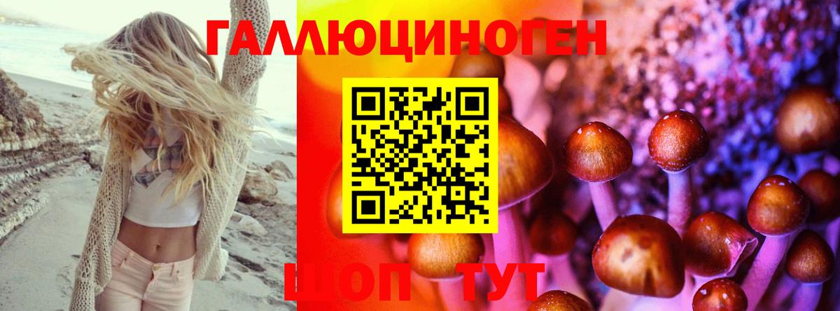 Псилоцибиновые грибы GOLDEN TEACHER  Псилоцибиновые грибы прущие грибы  Горно-Алтайск  Вход с VPN 
